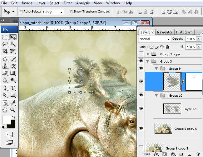 hippo, photoshop, nest, egg, shell, flying hippo, cute, baby, wings, hippopotamus, feathers